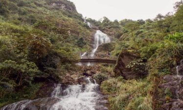 Ho Chi Minh City 2N – Da Nang 2N – Ha Noi 2N – Ha Long Bay Cruise 1N – Sa Pa 2N